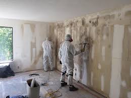 Best Mold Remediation for Healthcare Facilities  in Claude, TX